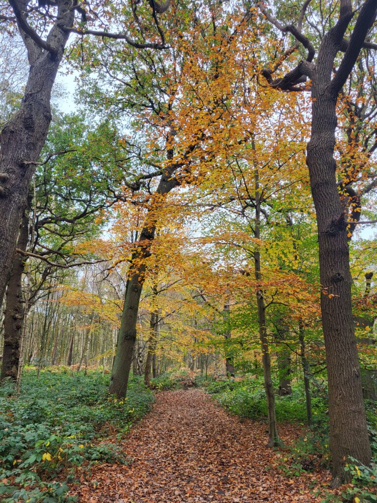 Stockton's Wood, Speke Hall